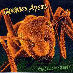 Enlarged view of image